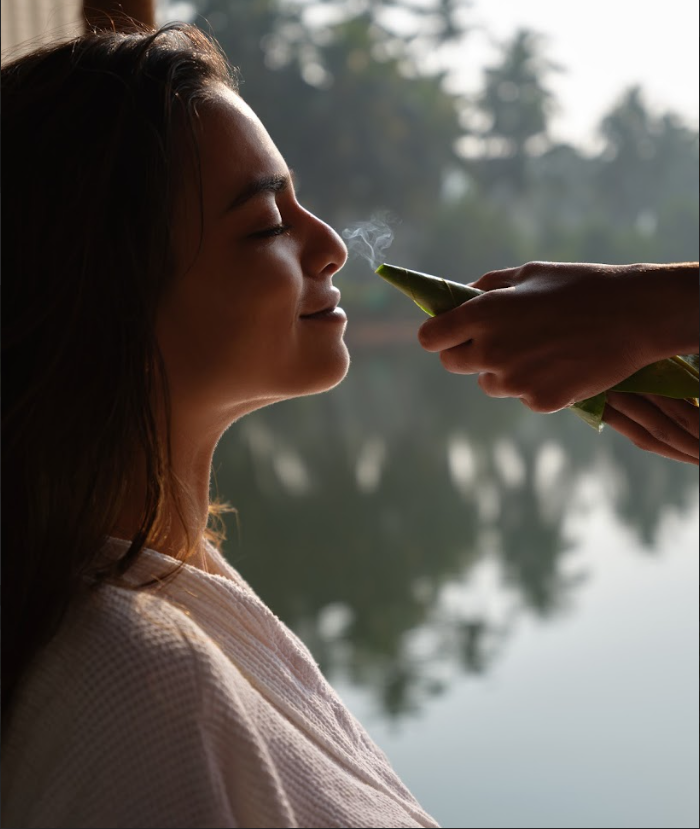Best Naturopathy Treatment in Himalayan Retreats